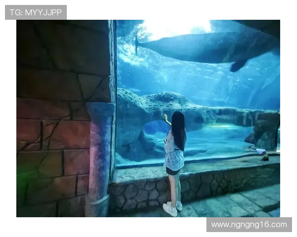 爱鱼直播:畅游水族世界的精彩每一刻 爱鱼直播:畅游水族世界的精彩每一刻